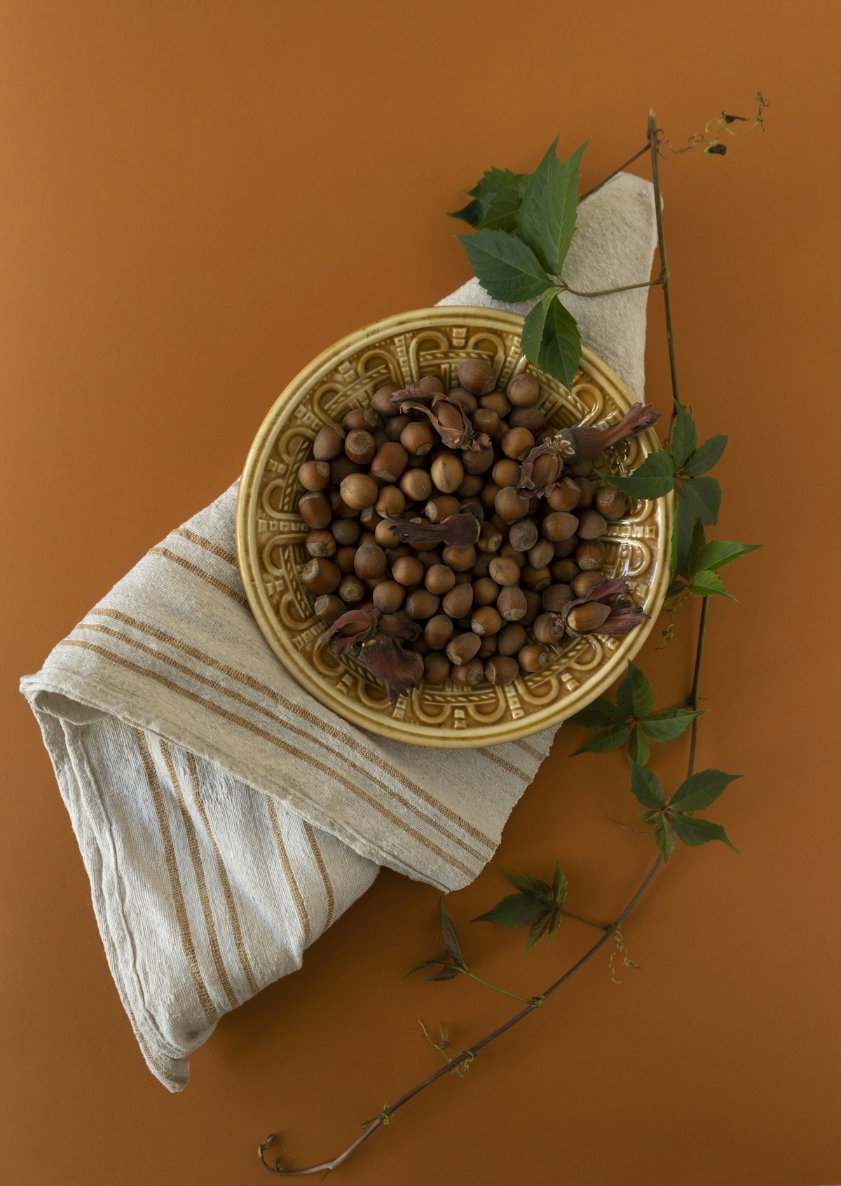 Fındık ve gıda girdileri